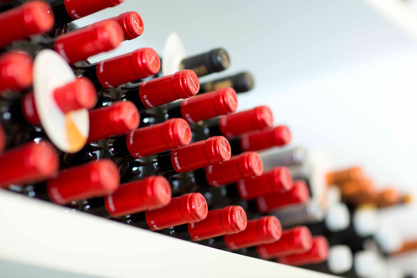 Vinos en Villoldo