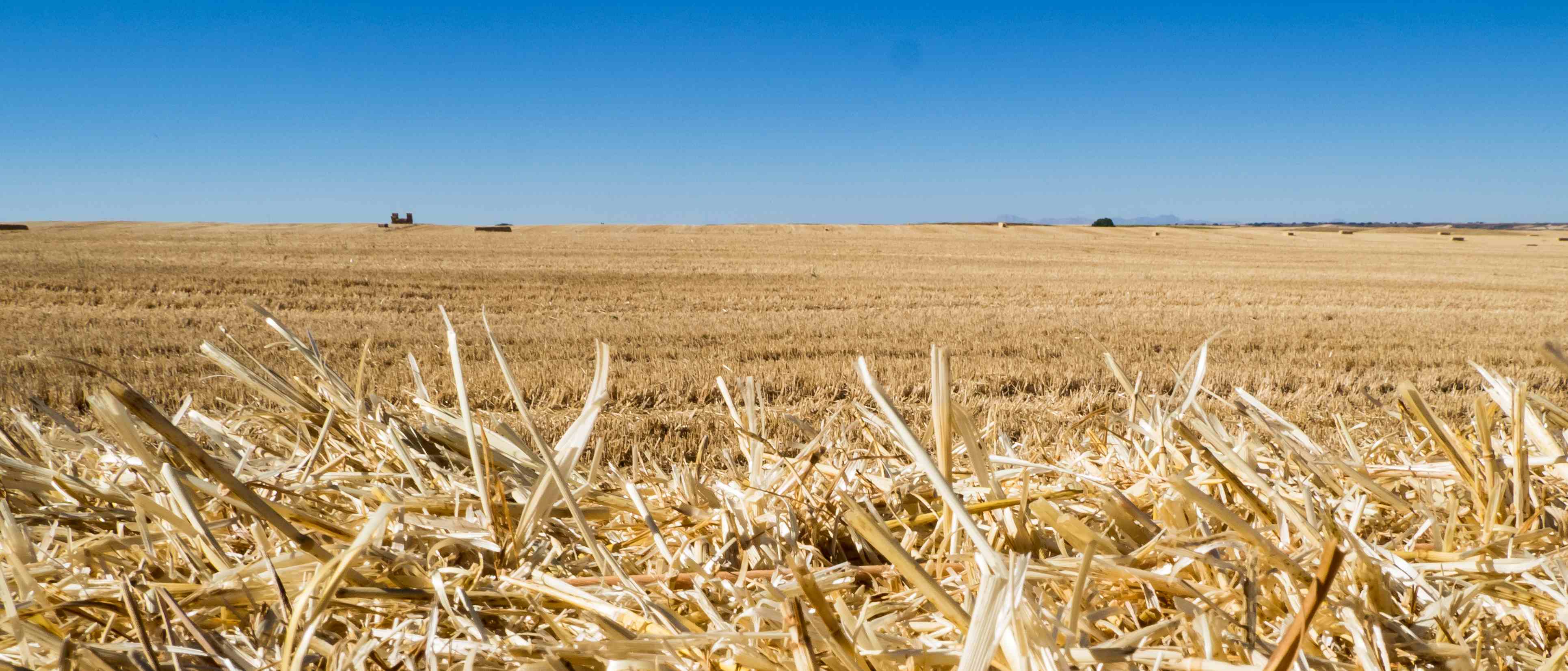 Tierra de Campos