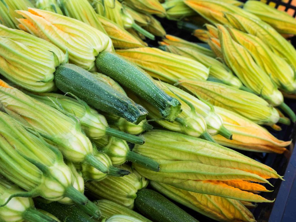 Flores de Calabacín